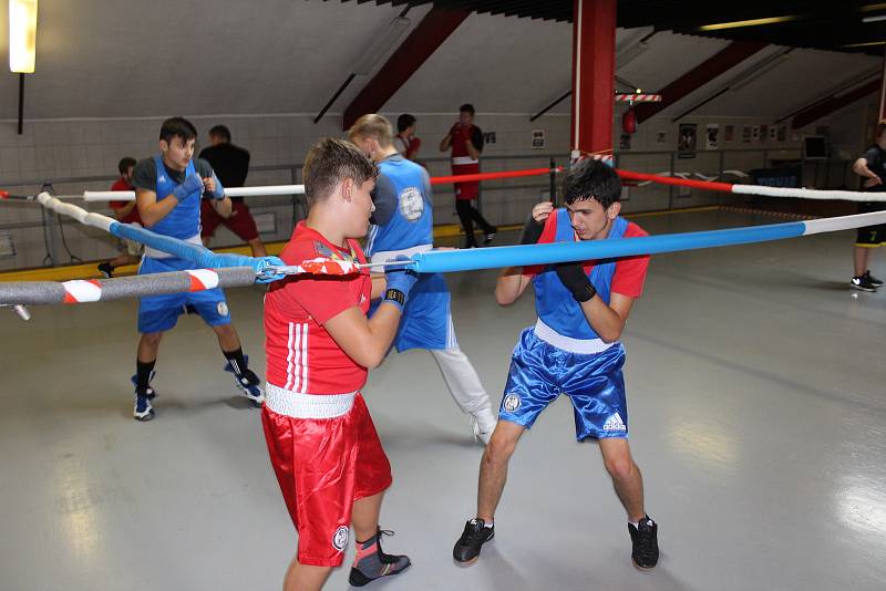 Trénink mladých havířovských boxerů.