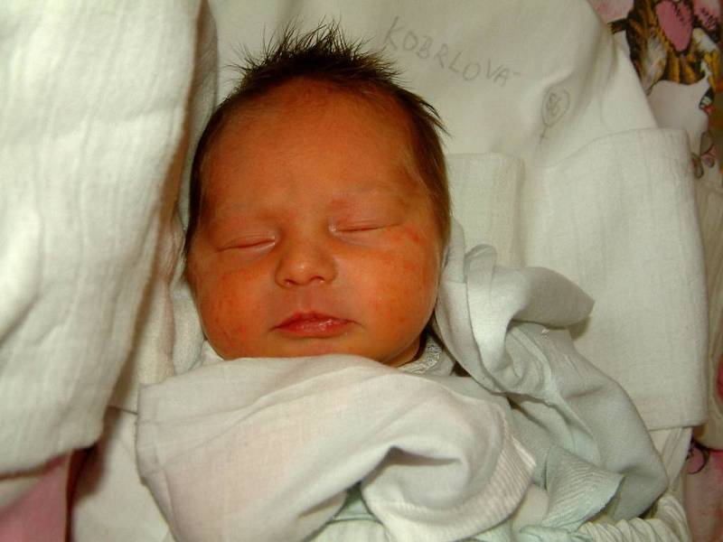 Marie Markéta Kobrlová, 29. října 2007, 2,6 kg, 48 cm, Havířov.