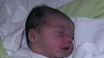 Karolínka Dvořáčková se narodila 3. prosince mamince Zuzaně Martynkové z Orlové. Po narození miminko vážilo 3200 g a měřilo 50 cm.