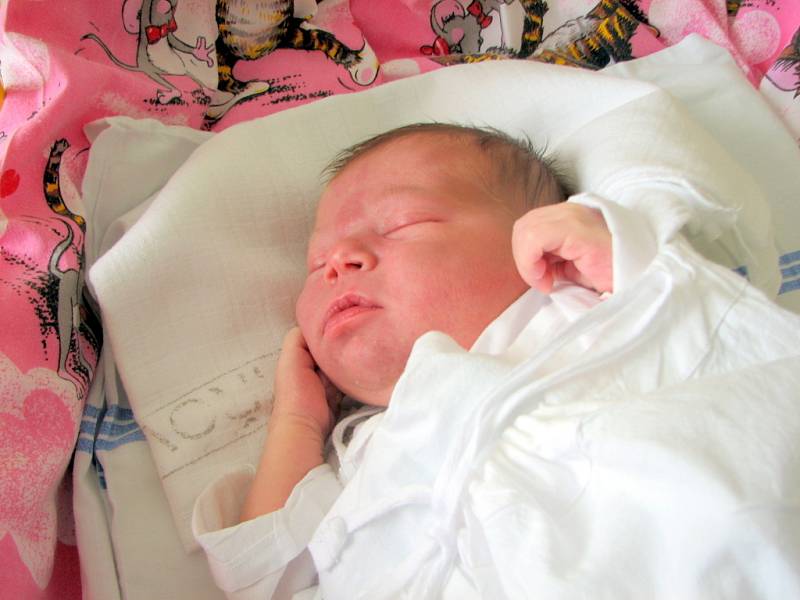 Nikola Bačáková, 3. června 2008, Havířov, váha: 3,5 kg, míra: 50 cm