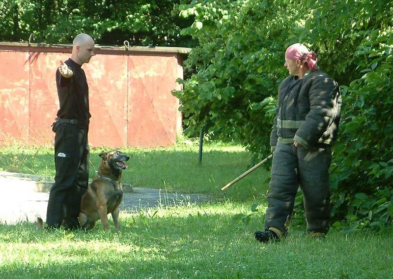 Psovodi havířovské městské policie.