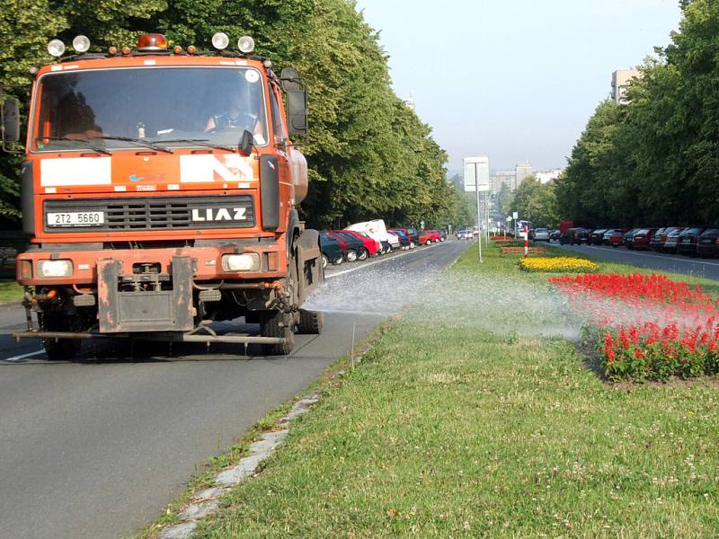 Květinová výzdoba vyžaduje pravidelnou údržbu, včetně kropení v parných dnech.