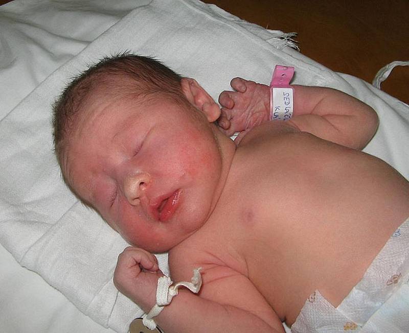 Druhorozená dcerka se narodila 20. září mamince Lence Sedláčkové z Bohumína. Malá Klárka po porodu vážila 3120 g a měřila 49 cm.