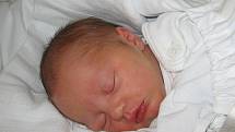 Honzík Pieczka se narodil 24. ledna paní Lucii Pieczkové ze Stonavy. Porodní váha chlapečka byla 3440 g a míra 50 cm. Doma se na miminko těší sestřička Terezka.