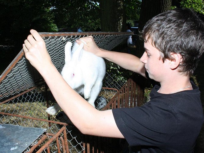 Chovatelé v Dolní Lutyni pořádali o víkendu mezinárodní výstavu králíků, holubů a drůbeže