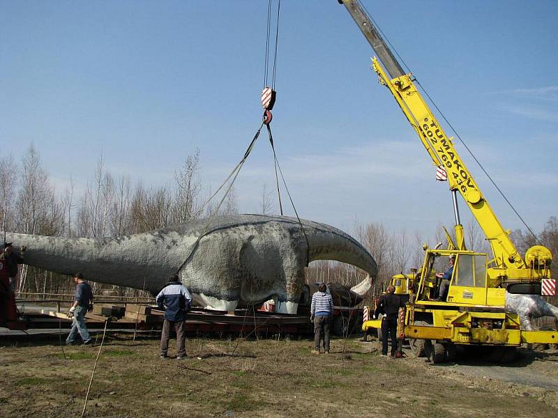 Doubravský Dinopark na Karvinsku má nový přírůstek, obřího Seismosauruse