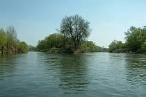 Kanál Dunaj-Odra-Labe by měl vést i tudy - přes soutok Odry s Olší