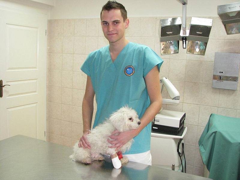 Havířovský veterináře Jan Falhar se psíkem, kterého osmačtyřicetiletá žena vyhodila z okna