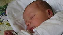 Mamince Regině Hoffmanové se 19. července narodil malý Tomáš Hoffman. Chlapeček měřil 50 cm a vážil 3 500g. 
