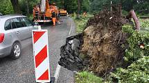 Silný vítr vyvracel i statné stromy. Poškozeny byly také silnice a střechy domů.