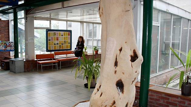 Strom života ve vestibulu havířovské nemocnice