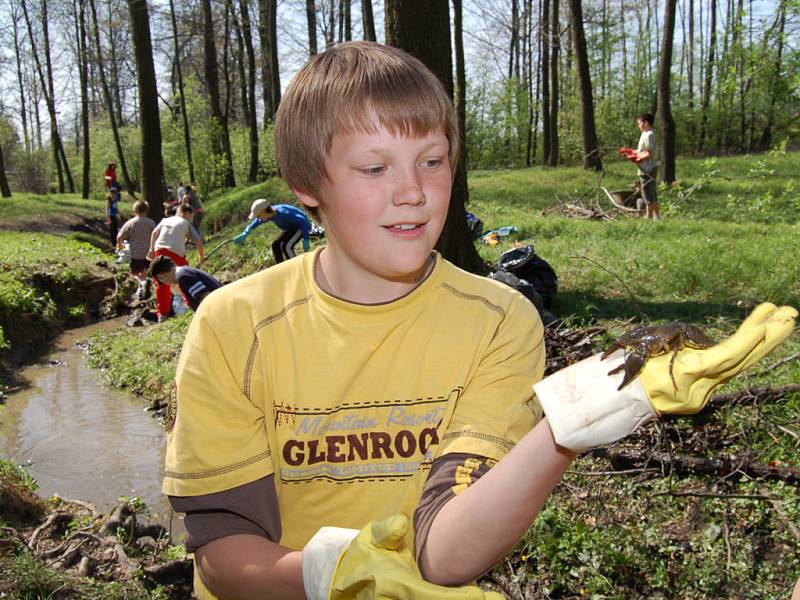 Stejně jako v minulých letech budou karvinští školáci čistit lesopark Dubinu. Možná opět najdou v potoce raky.