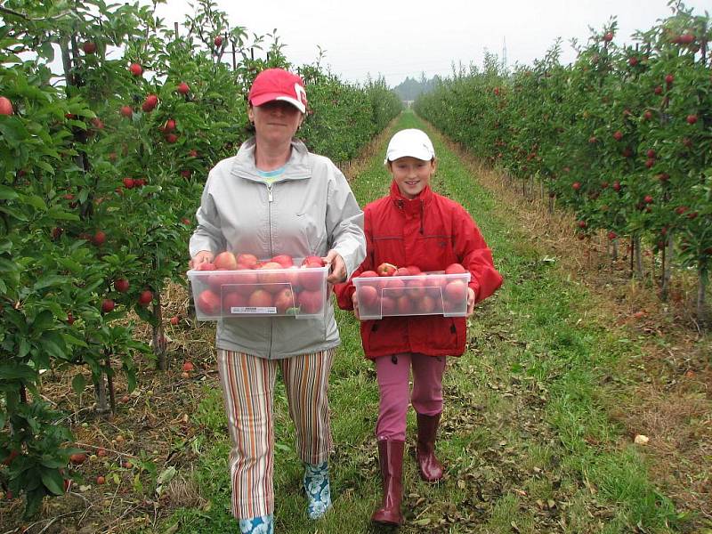 Ovocnářské sady v Havířově Živiticích