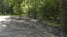 Karvinské lesoparky jsou v hrozném stavu. Snímky jsou z lesoparku Dubina