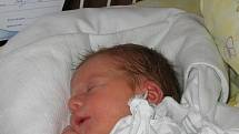 Mamince Lucii Jašové z Českého Těšína se 25. června narodil syn Danielek. Po narození miminko vážilo 2620 g a měřilo 48 cm. Sourozenci Anička a Ondřej se na miminko moc těší. 
