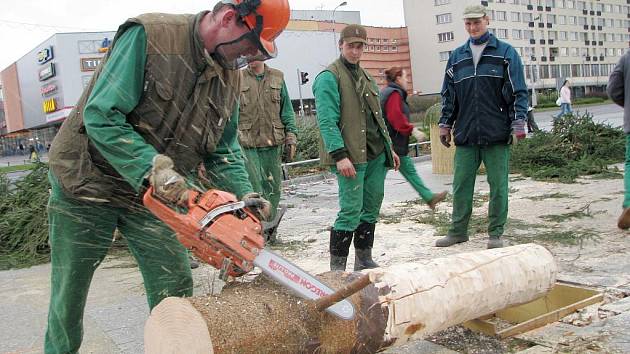 Kvůli prasklému kmenu musel být v Havířově pokácen vánoční strom na náměstí Republiky.