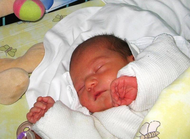 Josef Skalický se narodil 12. února paní Nadě Skalické z Petrovic. Porodní váha chlapečka byla 3400 g a míra 48 cm. Sestřička Nelinka se na miminko moc těší.