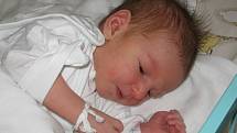 Nicoletta Antošová se narodila 16. května mamince Markétě Vyhlídalové z Bohumína. Porodní váha miminka byla 2800 g a míra 47 cm.