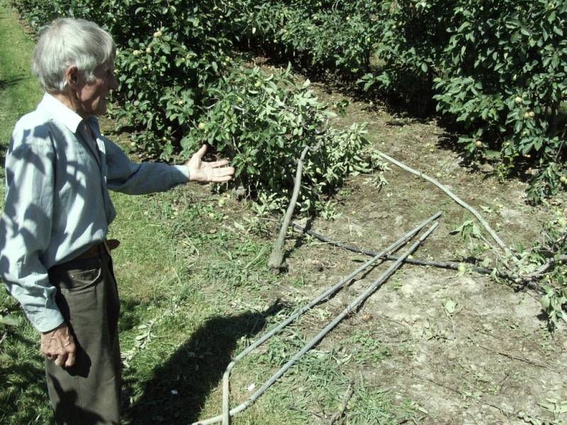 Pěstitel Edvard Polok ukazuje spoušť, kterou v sadu zanechali zloději podpěrných trubek.