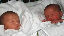 Paní Karin Čechmánkové z Kružberku se 11. června narodila dvojčátka Adámek a Davídek. Po narození malý Adámek vážil 2800 g a měřil 48 cm. Jeho bráška Davídek vážil 3270 g a měřil 49 cm.