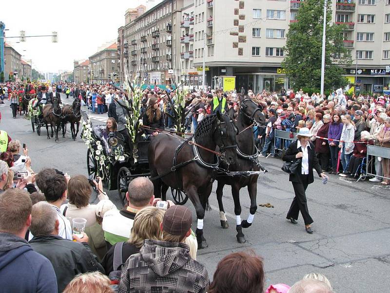 Havířov v květech