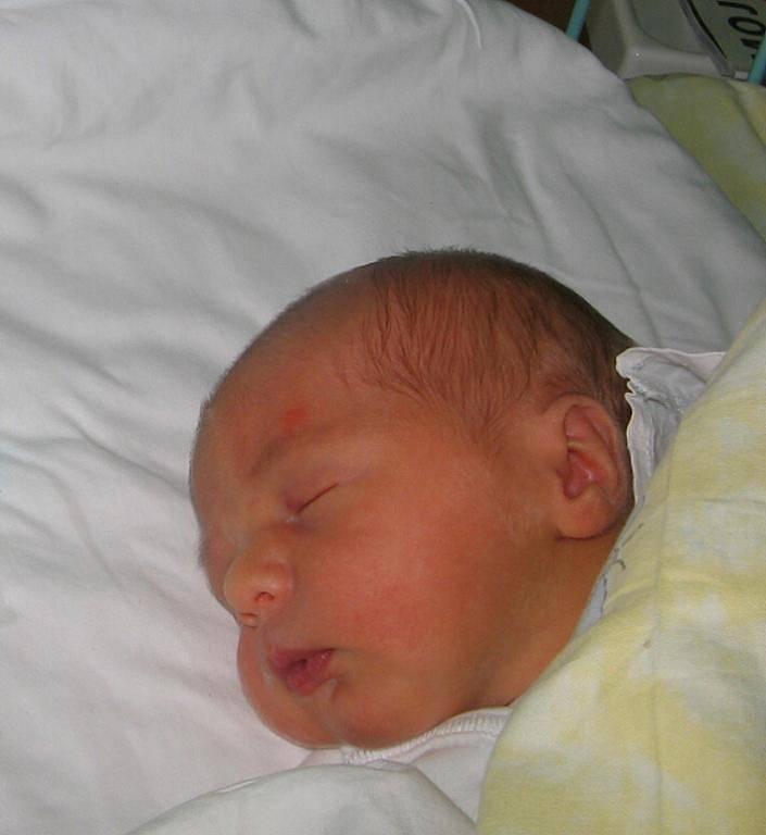 Kubíček se narodil 5. června paní Lence Bartoňové z Orlové. Po narození chlapeček vážil 2720 g a měřil 47 cm.