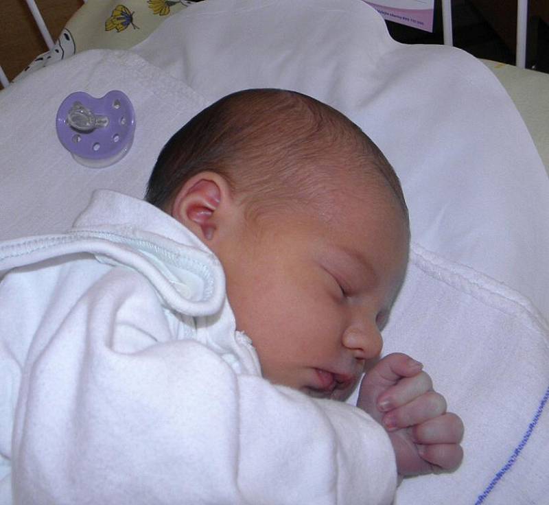 Nikolka Pietrowská se narodila 17. května paní Renátě Kajnarové z Karviné. Po porodu miminko vážilo 3300 g a měřilo 49 cm. Bráška Vojtíšek se na miminko moc těší.