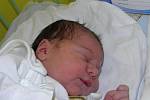 Michaelka se narodila 10. dubna mamince Sylvě Voglové z Orlové. Porodní váha miminka byla 3800 g a míra 52 cm.