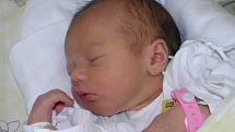 Druhá dcerka Klárka Štěpaníková se narodila 20. června mamince Gabriele Rajskupové z Karviné.  Porodní váha miminka byla 2930 g a míra 49 cm. Sestra Sandra se na miminko moc těší.