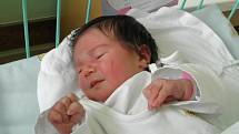 Mamince Wioletě Olszar se 22. února narodila dcerka Kinga. Po narození holčička vážila 3060 g a měřila 49 cm.