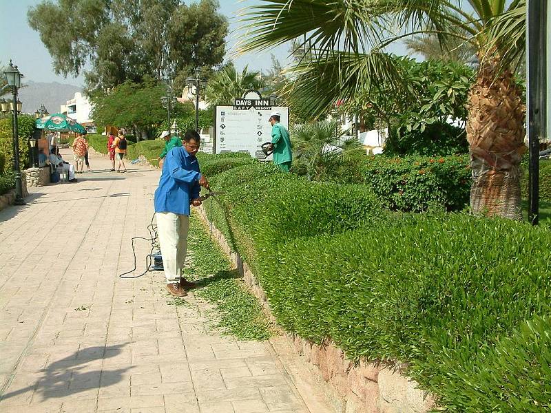 Stále oblíbenější destinací českých turistů je Egypt