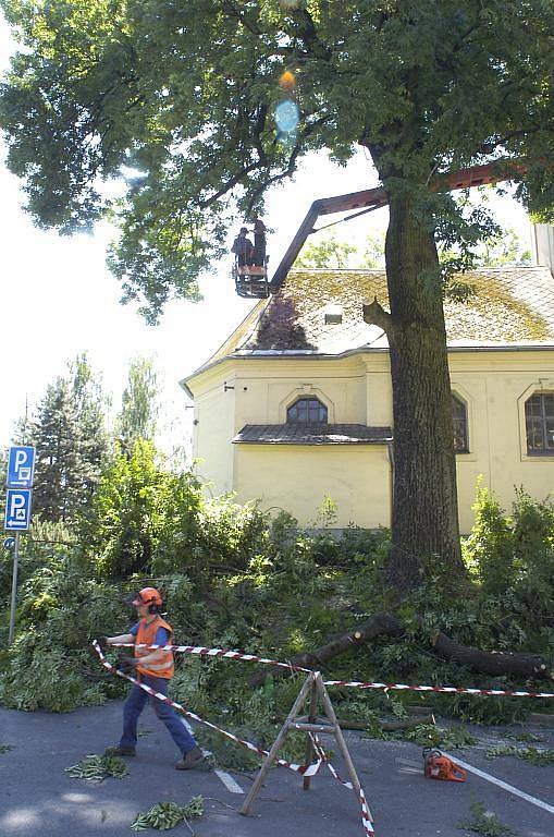 V Karviné kácejí dělníci 130 let starý jasan u kostela sv. Marka ve Fryštátě. Svah, na kterém stojí, je podmáčený a ujíždí