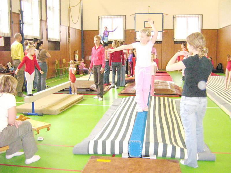 Kroužek sportovní gymnastiky se nachází i v Karviné.