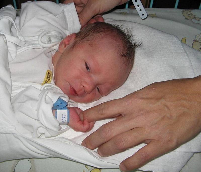 Druhorozený syn Dalibor se narodil 11. listopadu mamince Lence Drőgslerové z Karviné. Malý Daliborek po porodu vážil 3120 g a měřil 50 cm.