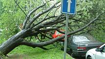 Podmáčený strom se vyvrátil v centru Havířova na zaparkované automobily. Rozřezat ho museli hasiči.