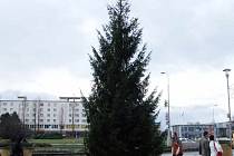 Vánoční strom před OD Elan.