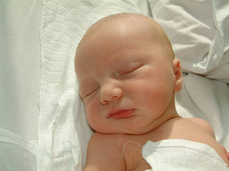 Adam Stöcker, 12. května 2008, Havířov, váha: 2,6 kg, míra: 46 cm