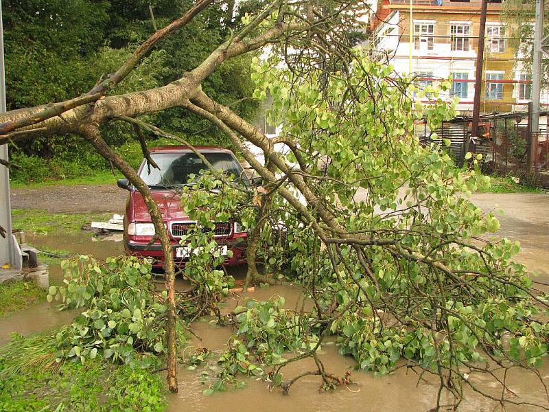Strom spadlý na osobní automobil v Prostřední Suché