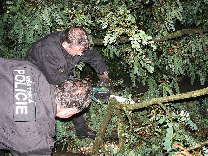 Stromy spadlé na železniční trať odstraňovali strážníci