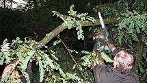 Stromy spadlé na železniční trať odstraňovali strážníci