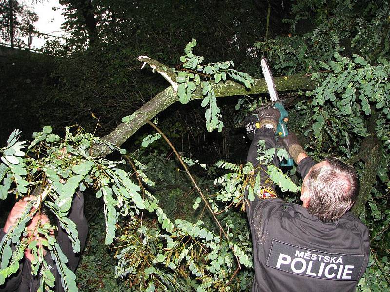 Stromy spadlé na železniční trať odstraňovali strážníci