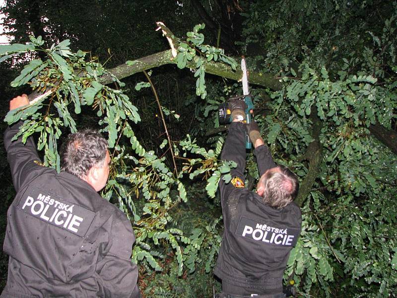 Stromy spadlé na železniční trať odstraňovali strážníci