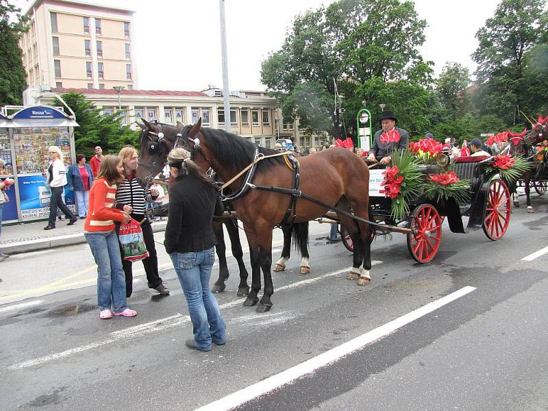 Havířov v květech