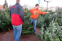 Vánoční stromky se prodávají také u obchodního centra Silesia v Opavě.