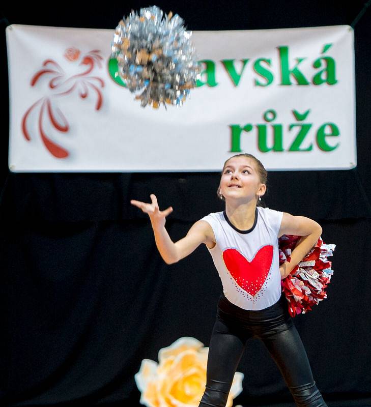 Mezinárodní soutěž mažoretek Opavská růže 2017 v opavské víceúčelové hale.