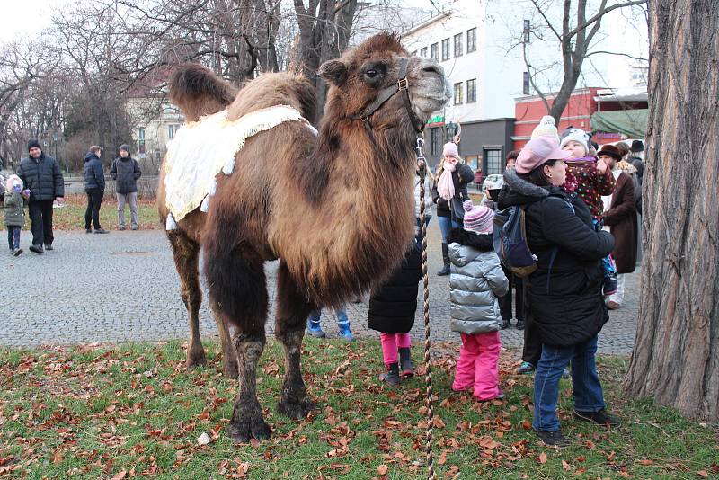 Tříkrálový průvod v Opavě.