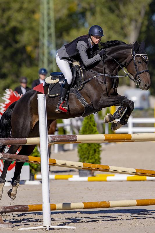 Parkúrový závod Procamping Cup v areálu Jezdeckého klubu Opava-Kateřinky, 30. září 2018.