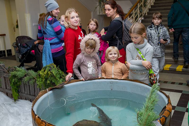 Advent na zemědělce 2019.