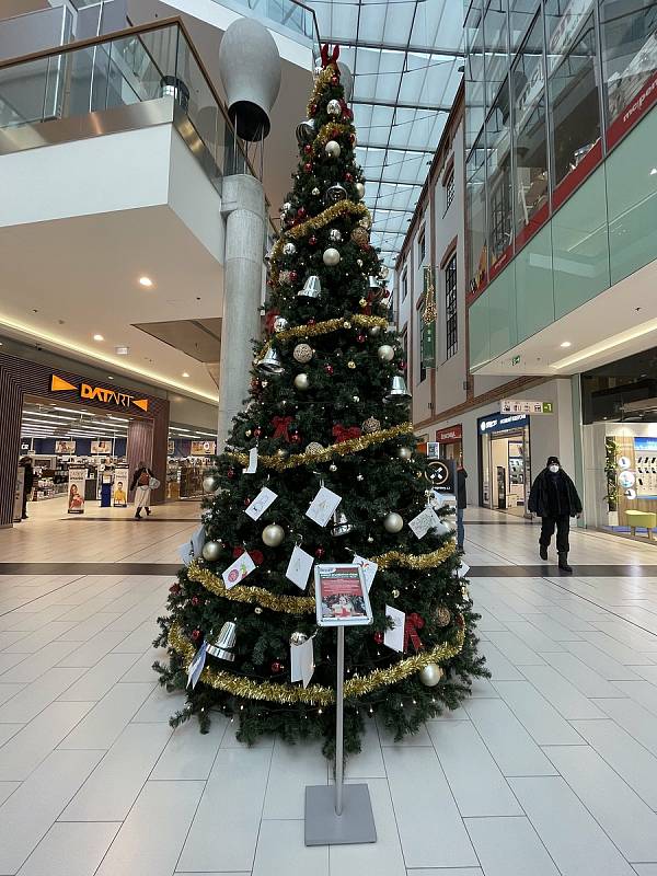 Strom splněných přání v opavské Bredě. 1. prosince 2021, Opava.