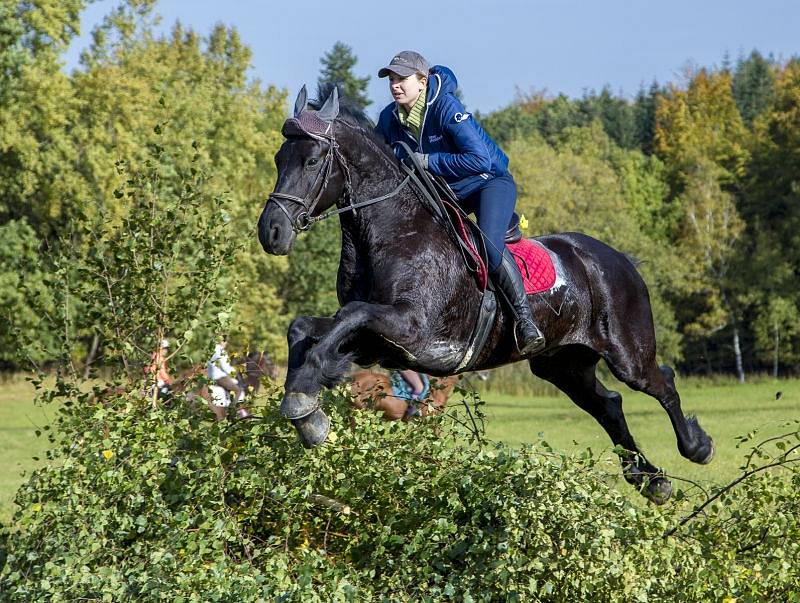 Na louce nad Mikolajicemi, které se mezi místními přezdívá Buček, proběhl už devatenáctý ročník mikolajické Hubertovy jízdy. Akce se zúčastnilo celkem osmdesát koní.